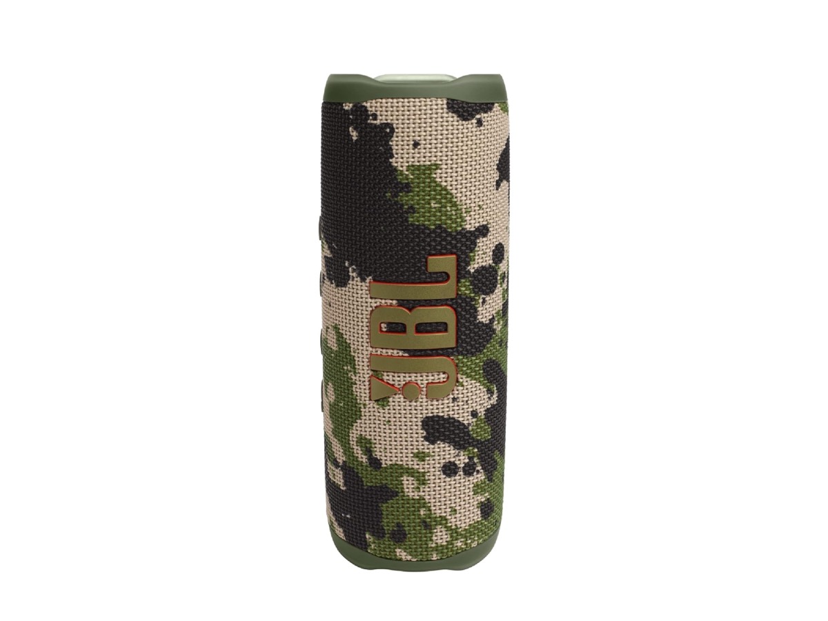 JBL Flip 6