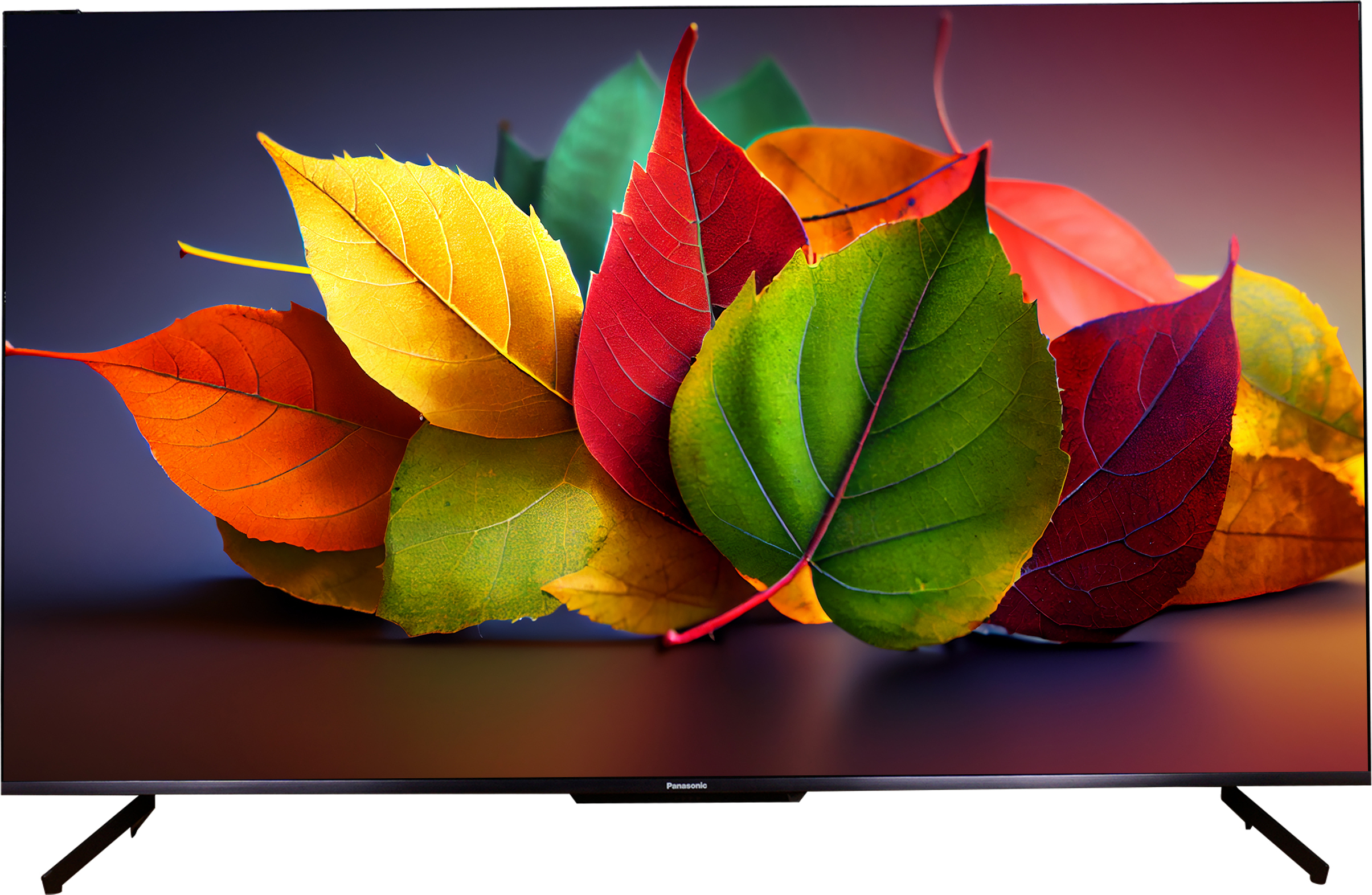 Panasonic (65 inch) Ultra HD (4K) IPS ( TH-65MX710DX )