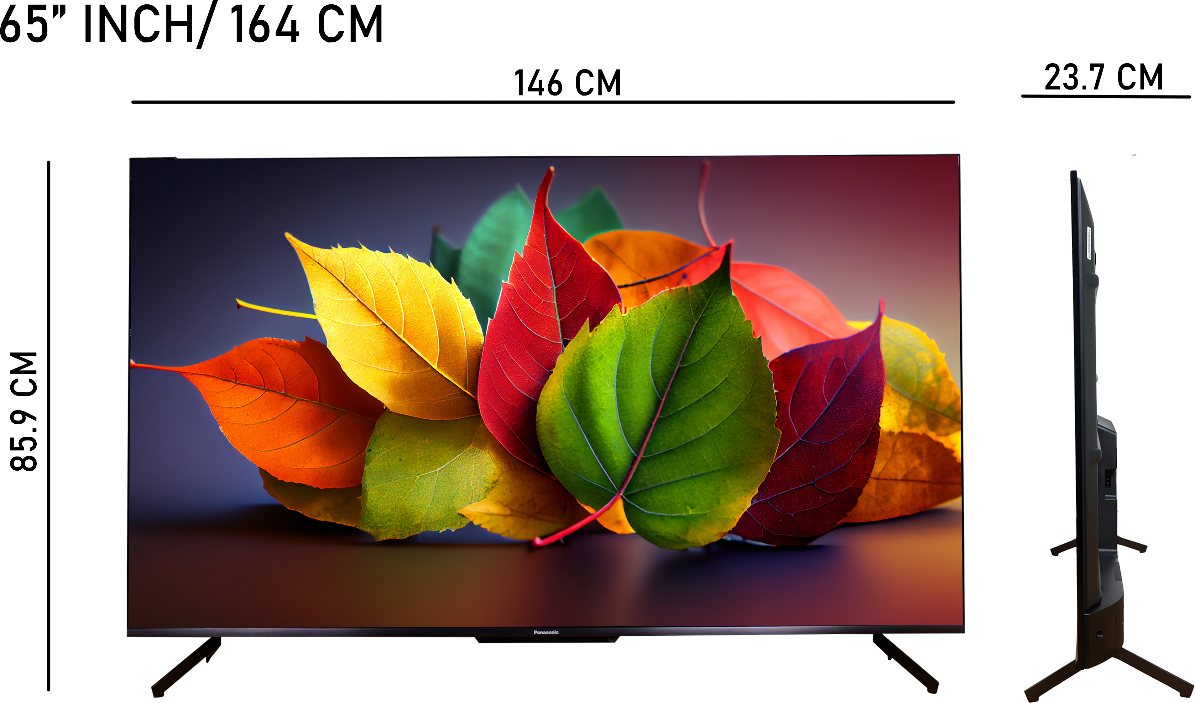 Panasonic   (65 inch) Ultra HD (4K)IPS (TH-65MX710DX)