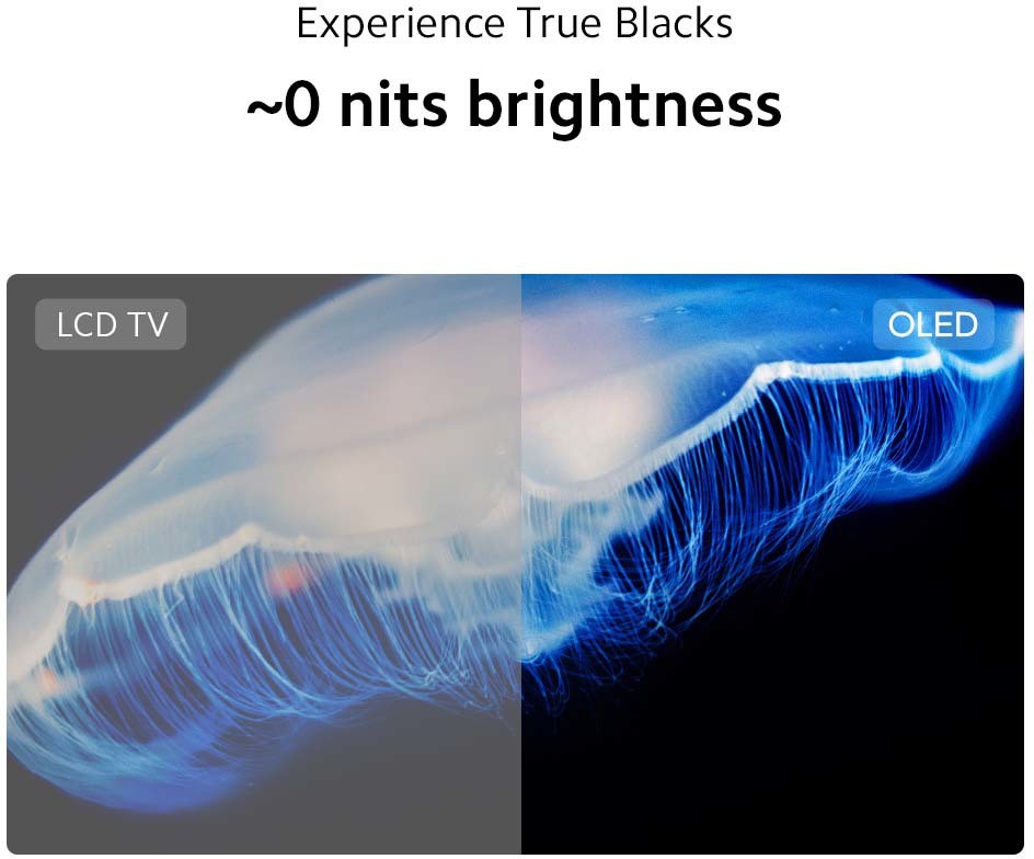 Xiaomi   (55 inch) Ultra HD (4K) (O55M7-Z2IN)