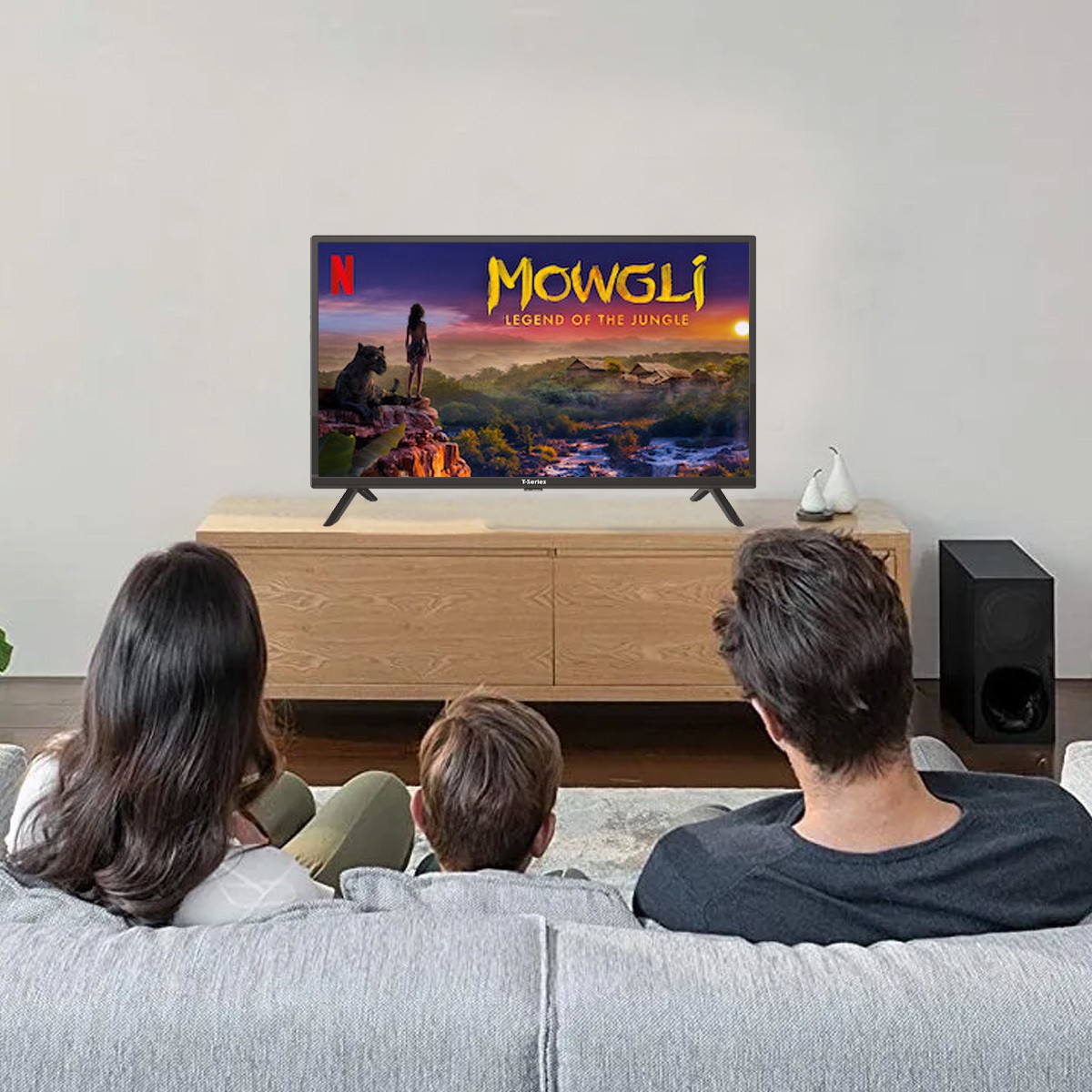 T-Series (32 inch) HD Ready (32TWO 300H) T-Series (32 inch) HD Ready (32TWO 300H)
