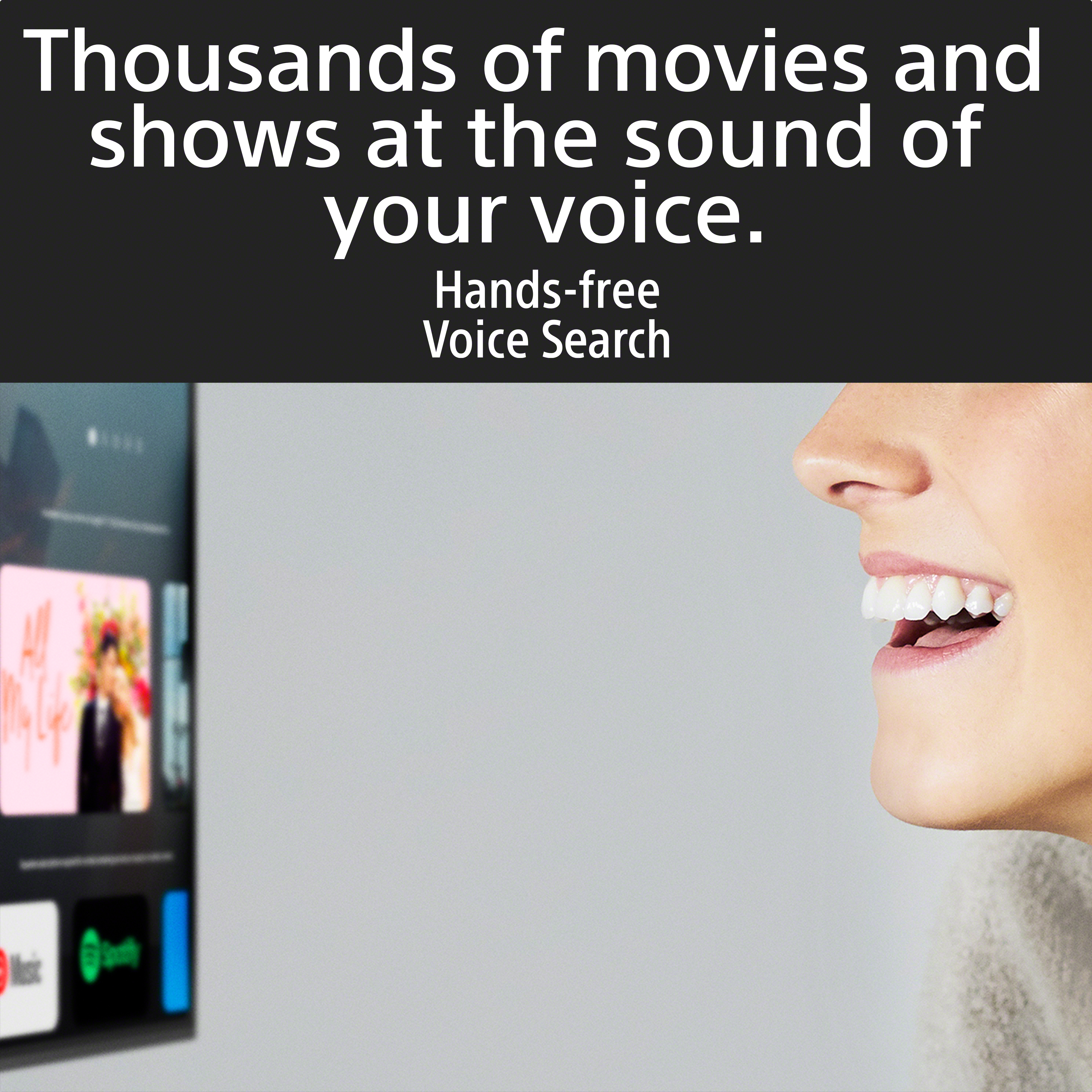 SONY X90L (65 inch) Ultra HD (4K) (XR-65X90L) SONY X90L (65 inch) Ultra HD (4K) (XR-65X90L)