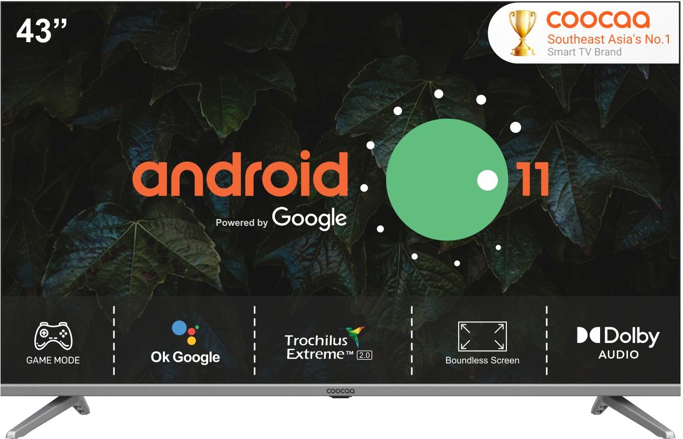 Coocaa (43 inch) Full HD IPS Panel ( 43S7G )