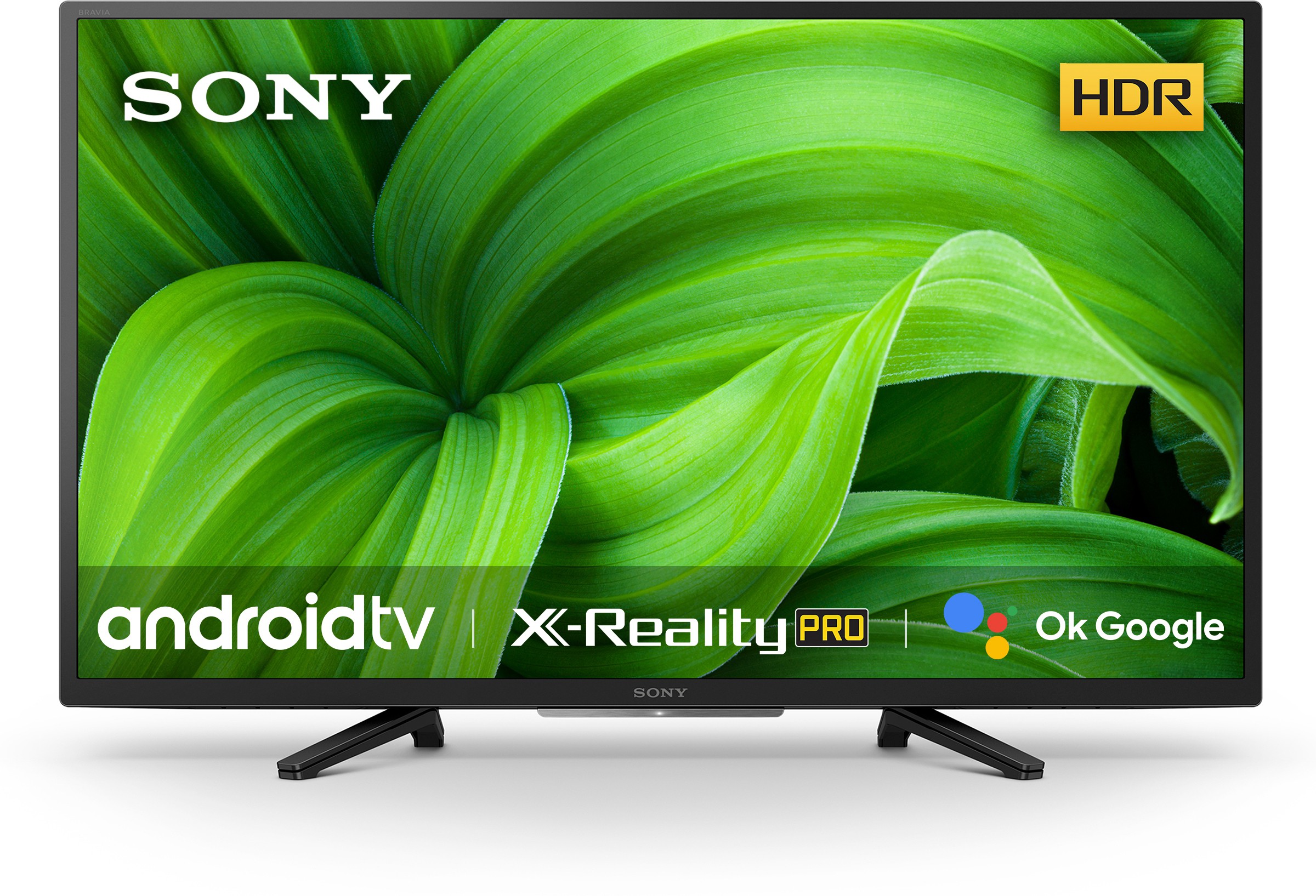 SONY Bravia (32 inch) HD Ready ( KD-32W830 )