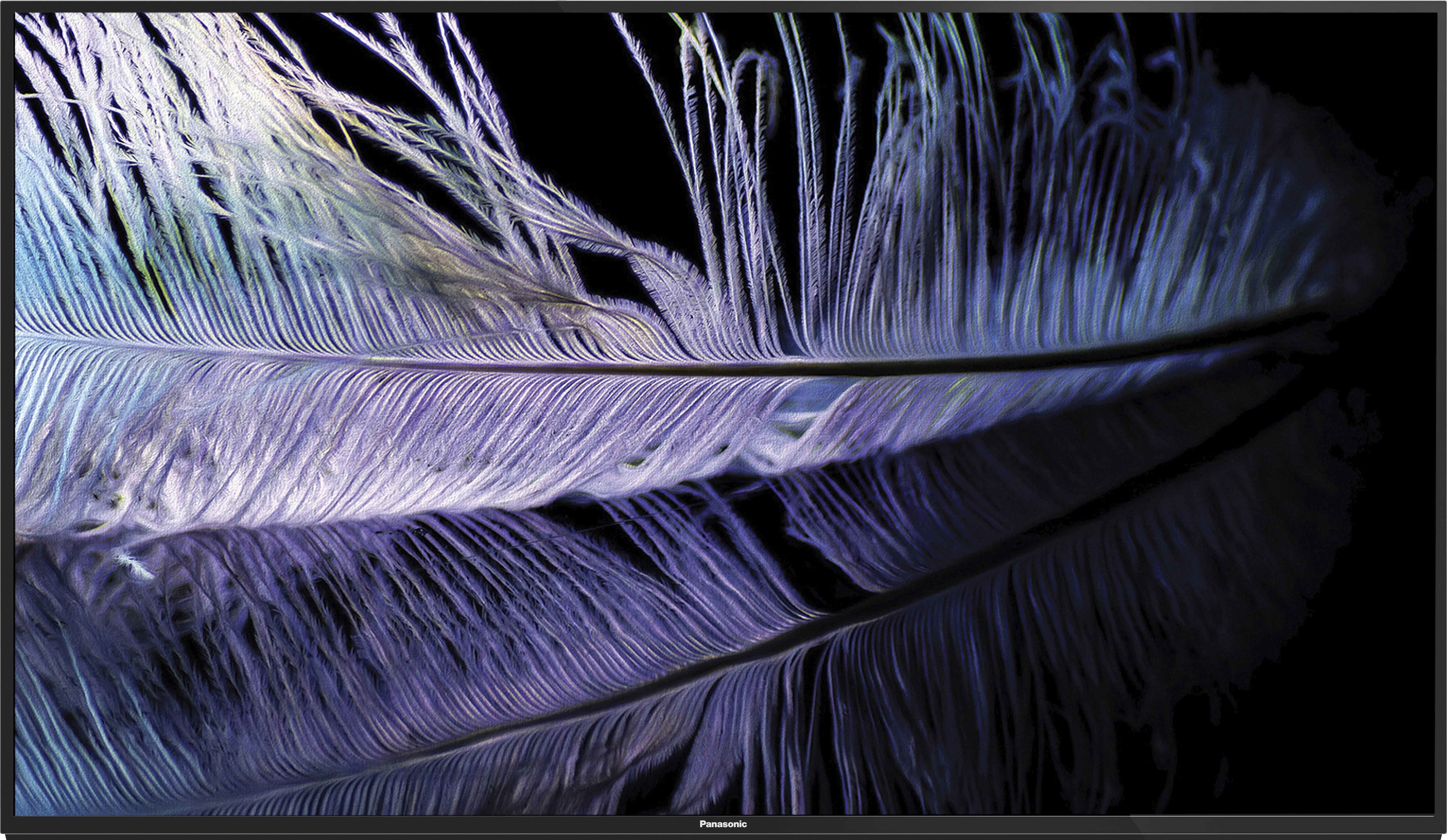Panasonic  FX600 Series (55 inch) Ultra HD (4K)IPS (TH-55FX600D)