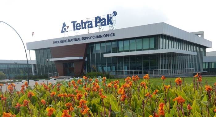 tetra-building0839-699x380