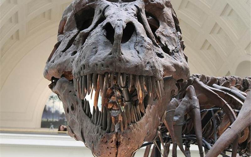 Are the ‘big six' holding companies at risk of becoming obsolete?