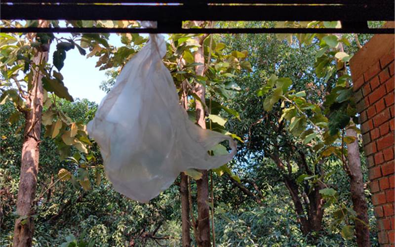 10 startups fighting against climate change