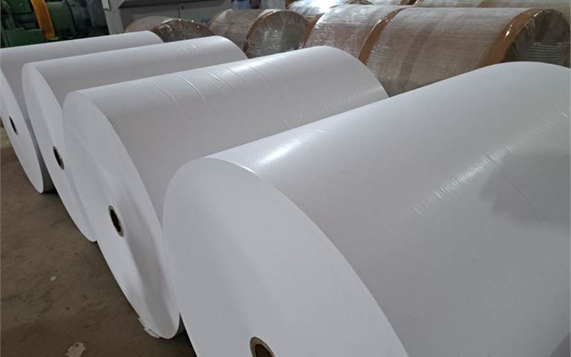 Indian paper industry in crisis: Only 550 of 900 mills operational