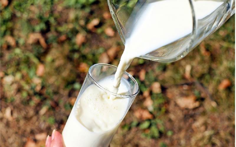 Tasty Dairy opts for Noluma light protection technology