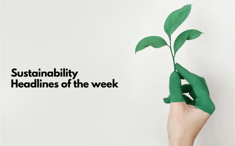 Covid-19 intensifying challenges; sustainability summit