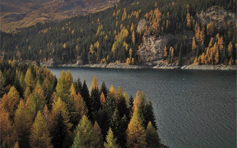 Sustainability is a catchphrase in 2020