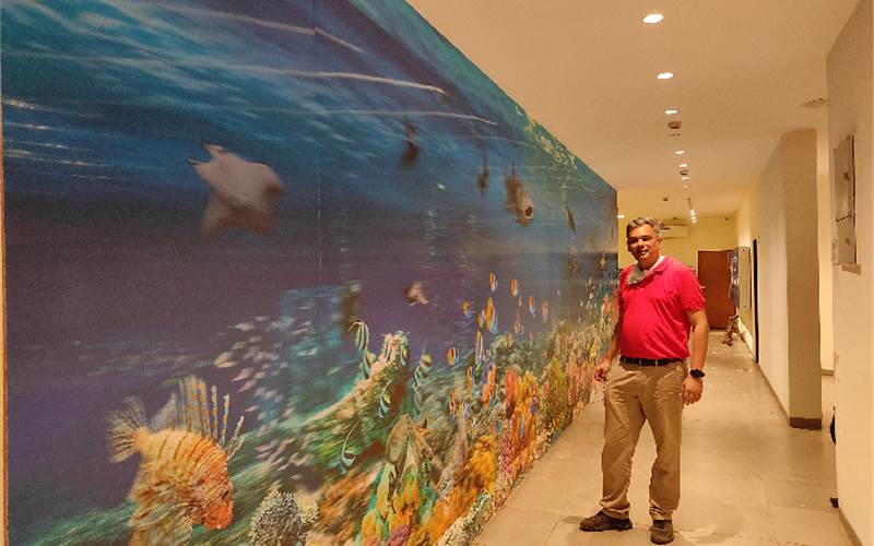 Taco brings ocean to life with lenticular