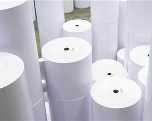 GST reforms may trigger surge in paper imports, warns i....