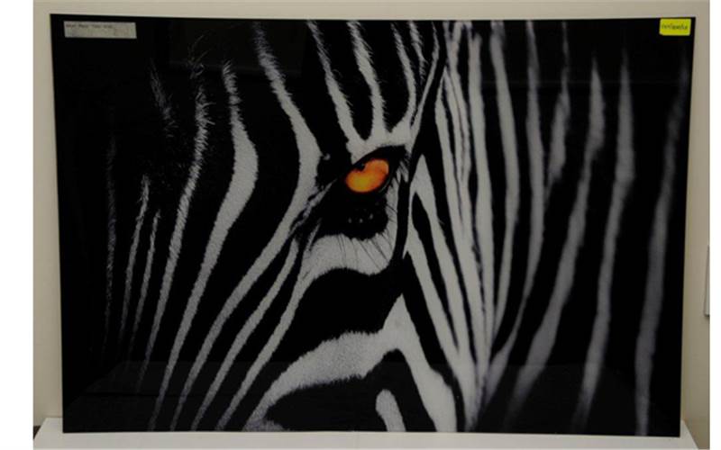 Juventus Mascot - The Zebra