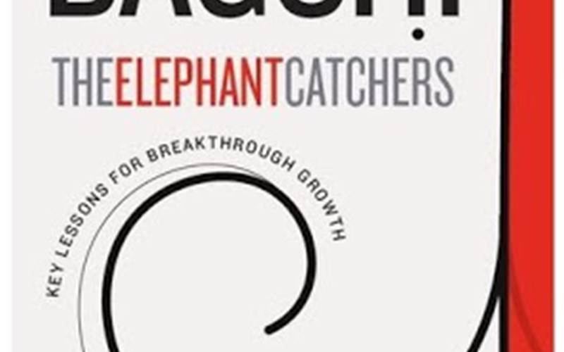 The Elephant Catchers by Subroto Bagchi published by Hatchette India printed at Manipal Technologies