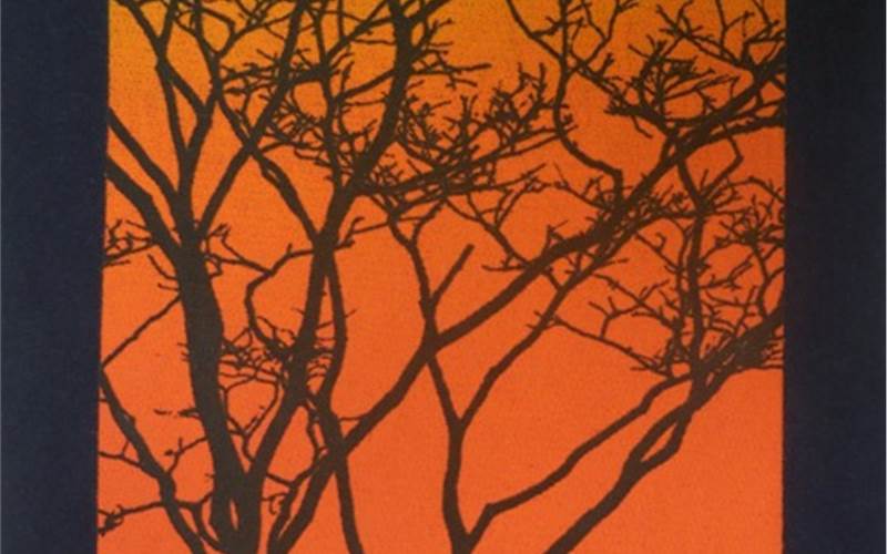 This discharge print, which has a velvety effect is created by printing four colour with a single stroke and cured at 160 degree celcius for three minutes