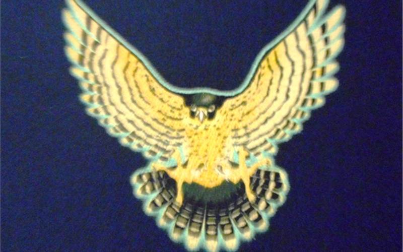 Plastisol phosphorescent effect print is created with seven-colour with texaopaque classic OP plastisol