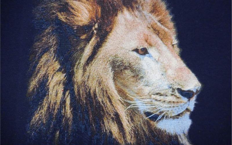 Five-colour plastisol index print
          Print process: Print FW755 flash cure white and flash cure. Then print wet on wet four colours and flash cure. Finally cure or