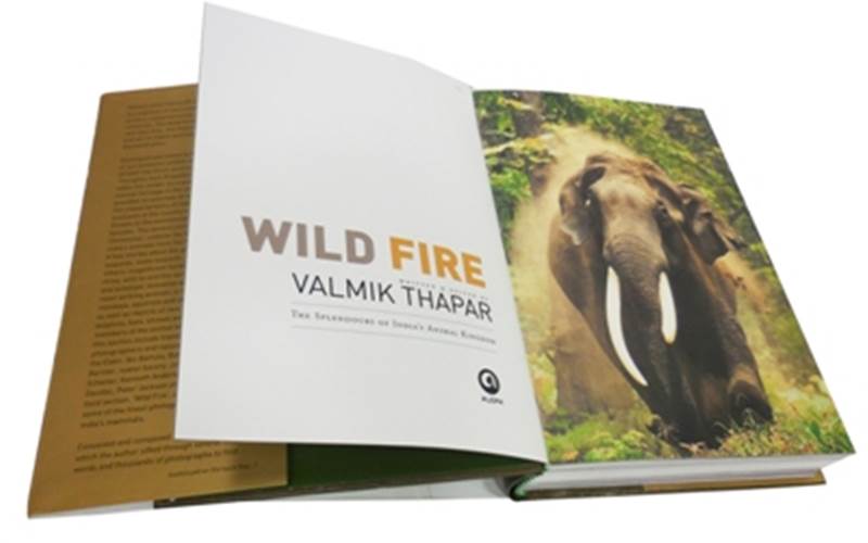 LUSTRA PRINT PROCESS | Valmik Thapar - Wildfire Length of run: 2500Art: CMYK plus Pantone metallic 872 goldPre-Press: Screen CTP system and the Agfa Apogee Pre-press ManagerPress: Ryobi 925 (five colour plus online aqueous coater)Post-Press: Spot UV plus abrasive UV, and blind embossing on the cover, dust jacket, and the box. Spot plus abrasive UV, die cut for the inside pages and a magnetic flap on box Paper: 170gsm foil laminated art paper for the printed laminated cover and dust jacket, 190 gsm Rendezvous Super White for the text and end pages