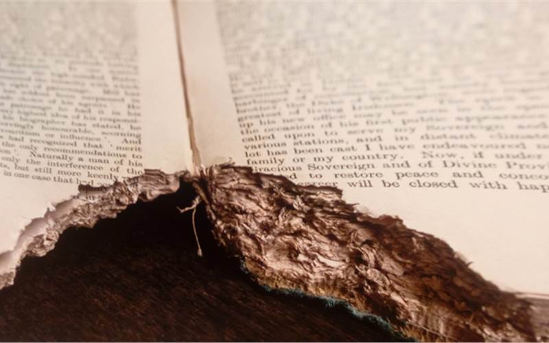 In The City, A Library by Chirodeep Chaudhuri and Jerry Pinto is on display until 8 April 2017