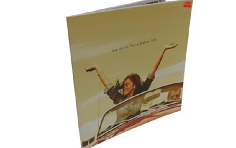 SILVERPOINT PRESS | Kasturi Apostrophe brochure Length of run: 1000Art: CMYKPre-Press: Agfa CTP system, Apogee workflow and GMG solutionsPress: Heidelberg LX (five-colour plus online coating)Post-Press: Inline satin aqueous coating throughout the brochurePaper: 260gsm Renoir Extra White for cover and 160gsm Renoir Extra White for text pages