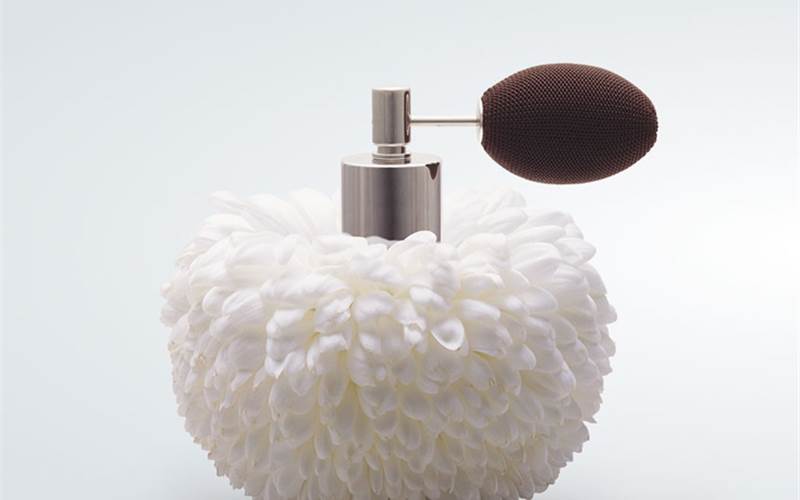 Firmenich and Quadia to fund in Loop