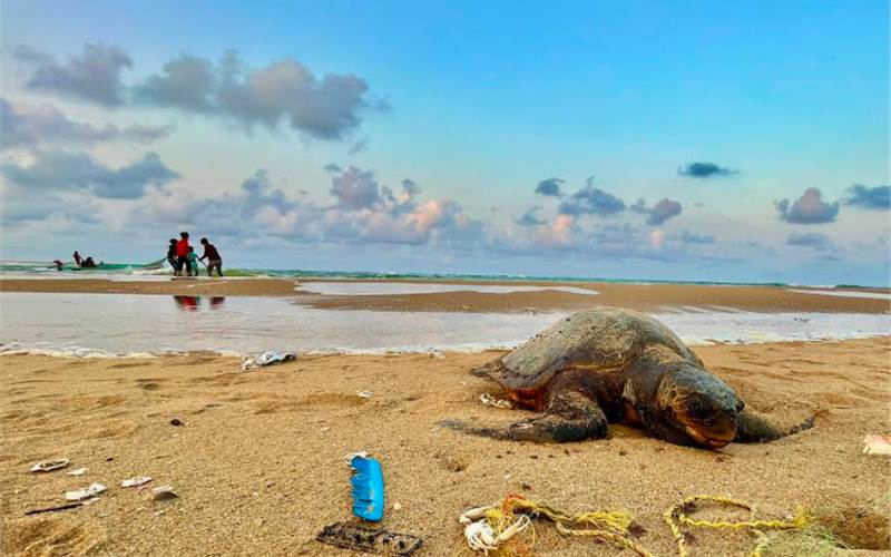 India responds to pledge to eliminate SUP by the end of 2022